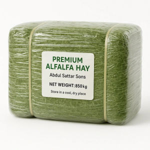 Alfalfa Hay