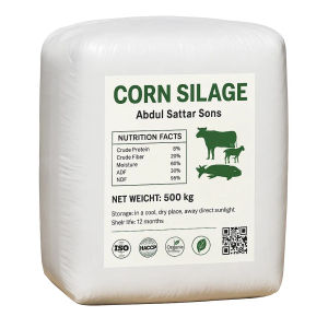 Corn silage