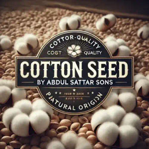 Cotton Seed