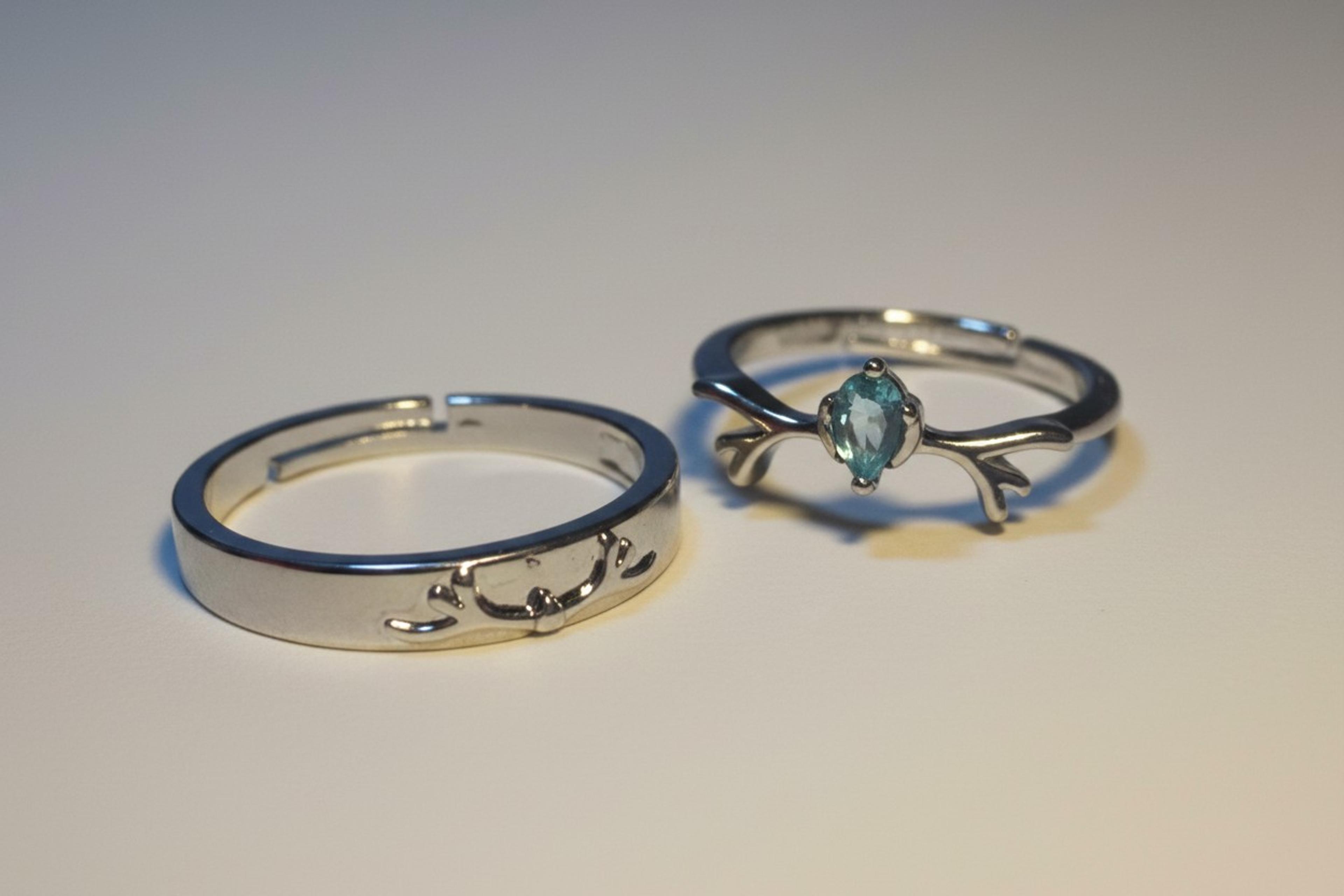 Enchanted Antler Stainless Steel Couple's Ring Set