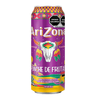 Arizona D Ponche D Frutas 570ML