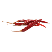 Chile De Arbol