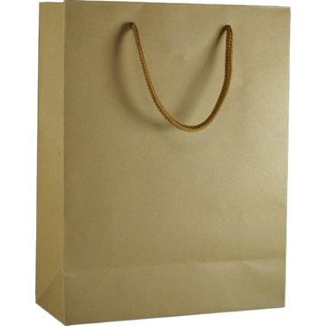 Sacola Kraft 31x42x10 cm Pacote com 10 Unidades - Kit - 439391