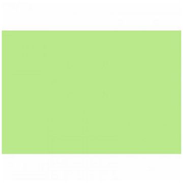 Cartolina Comum 50x66Cm 140GR Jandaia Pacote com 100 Unidades Verde - 04804