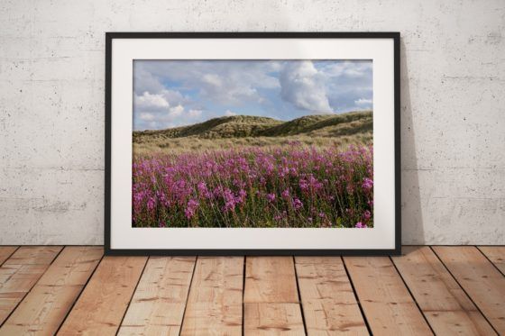 Dune Flowers Photography Print In Black Frame