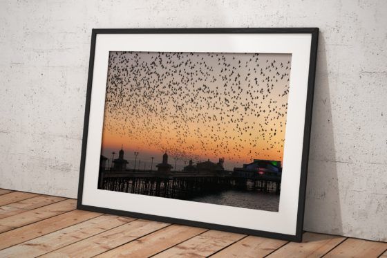 Blackpool North Pier Starlings Photography Print In Black Frame