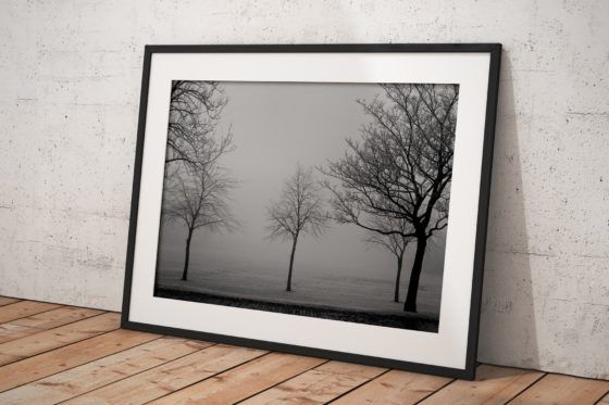 Never Forget Your Roots Photography Print In Black Frame