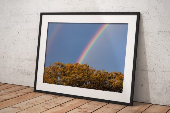 Double Rainbow Photography Print In Black Frame