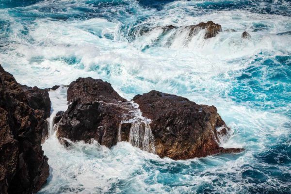 Madeira Island Photography By Yannick Dixon