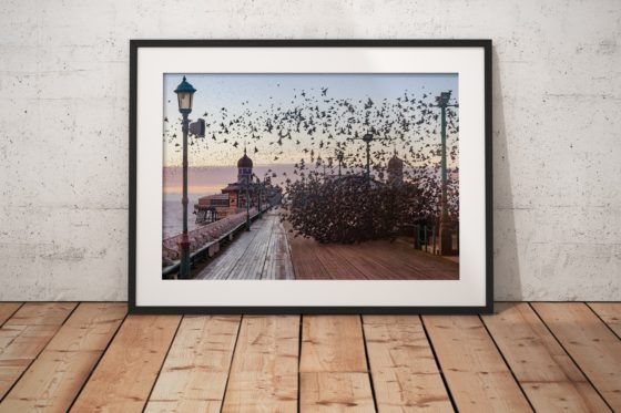 Blackpool Starlings Photography Print In Black Frame