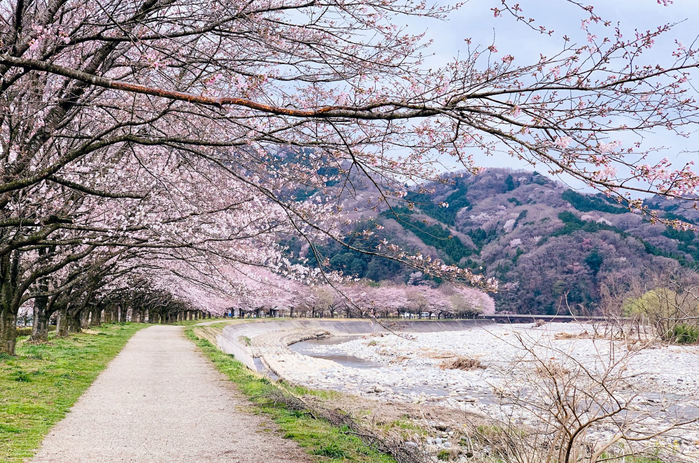 tripjepang