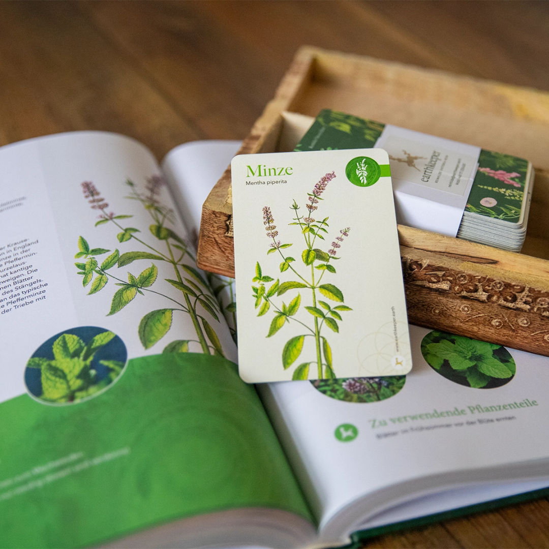 Premium Bundle: Kräuterbuch Herbaria & Pflanzenkarten Kartenset mit Holzschatulle