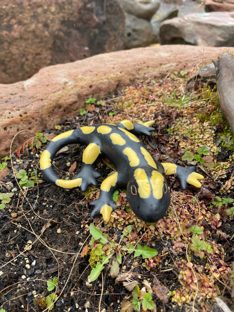 Feuersalamander aus Keramik, gelb in versch. Formen, Frostsicher, Unikat, Handarbeit
