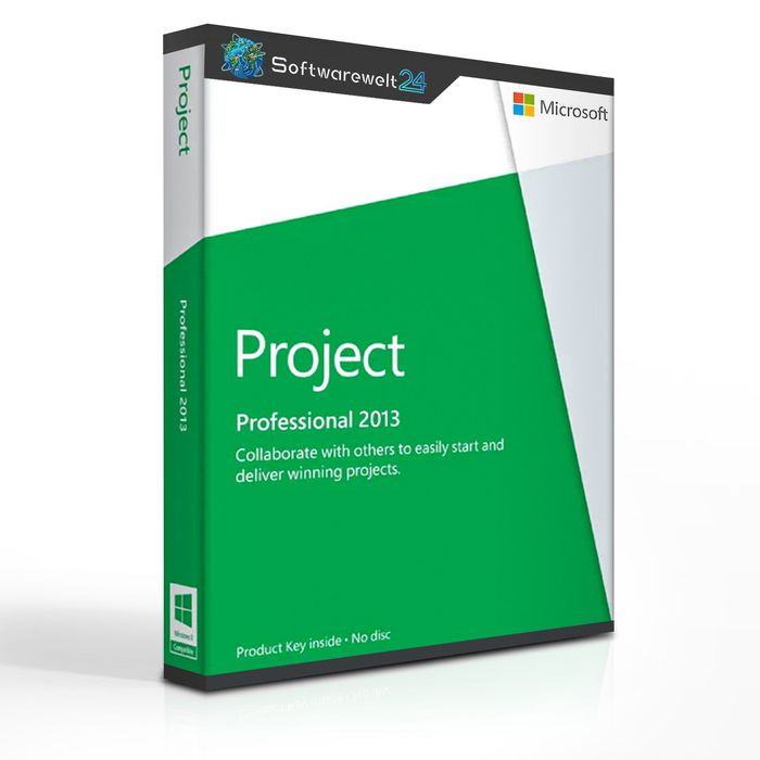 Microsoft Project Professional 2013