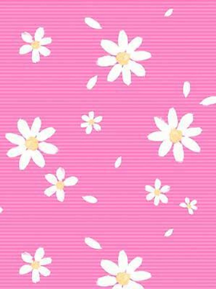 KinderTapete, Designtapete, verspielt, Querstreifen, Blümchen, Pink, Rosa, Weiß