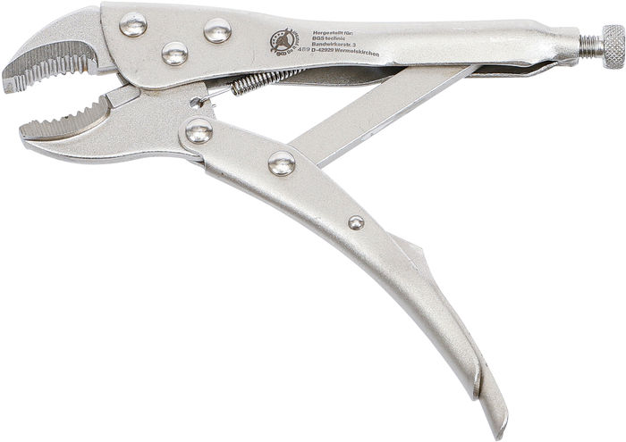 BGS Gripzange | 175 mm