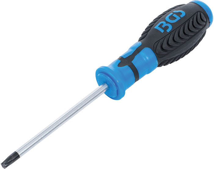 BGS Schraubendreher | T-Profil (für Torx) T30 | Klingenlänge 100 mm