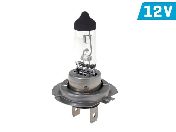 Vision H7 Common Glühlampe Licht Halogen Autolampe 12V 55W PX26D E4