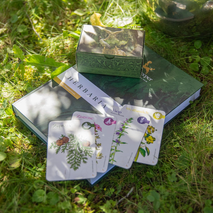 Bundle: Kräuterbuch Herbaria & Kartenset in der Faltschachtel