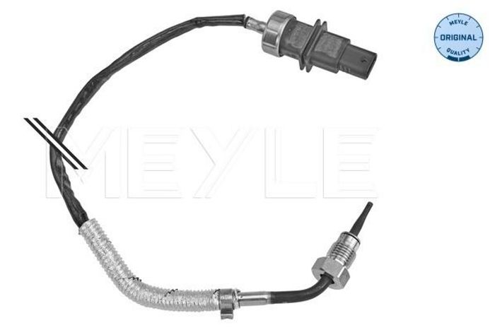 Sensor, Abgastemperatur