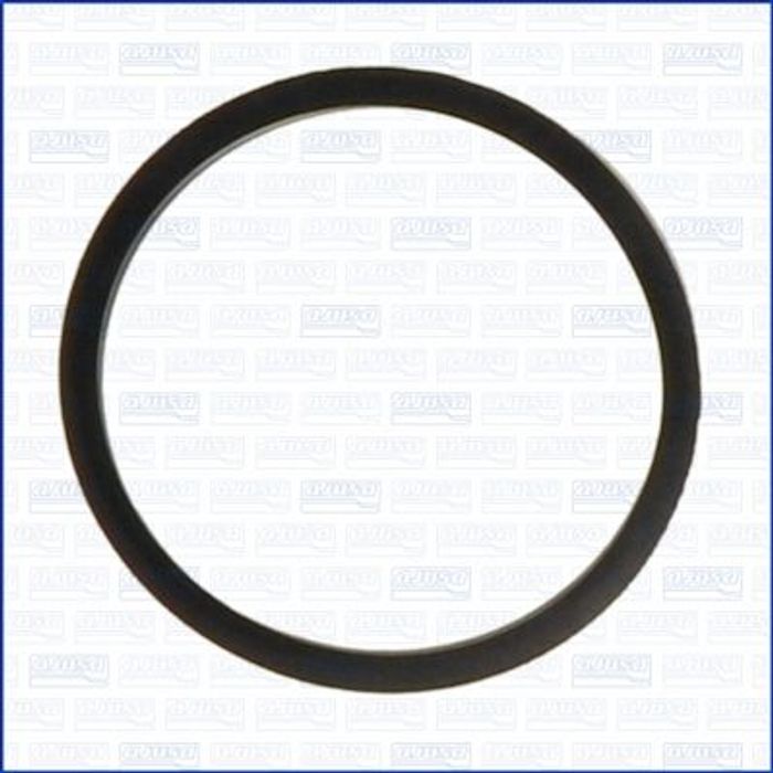 Dichtung, Thermostat