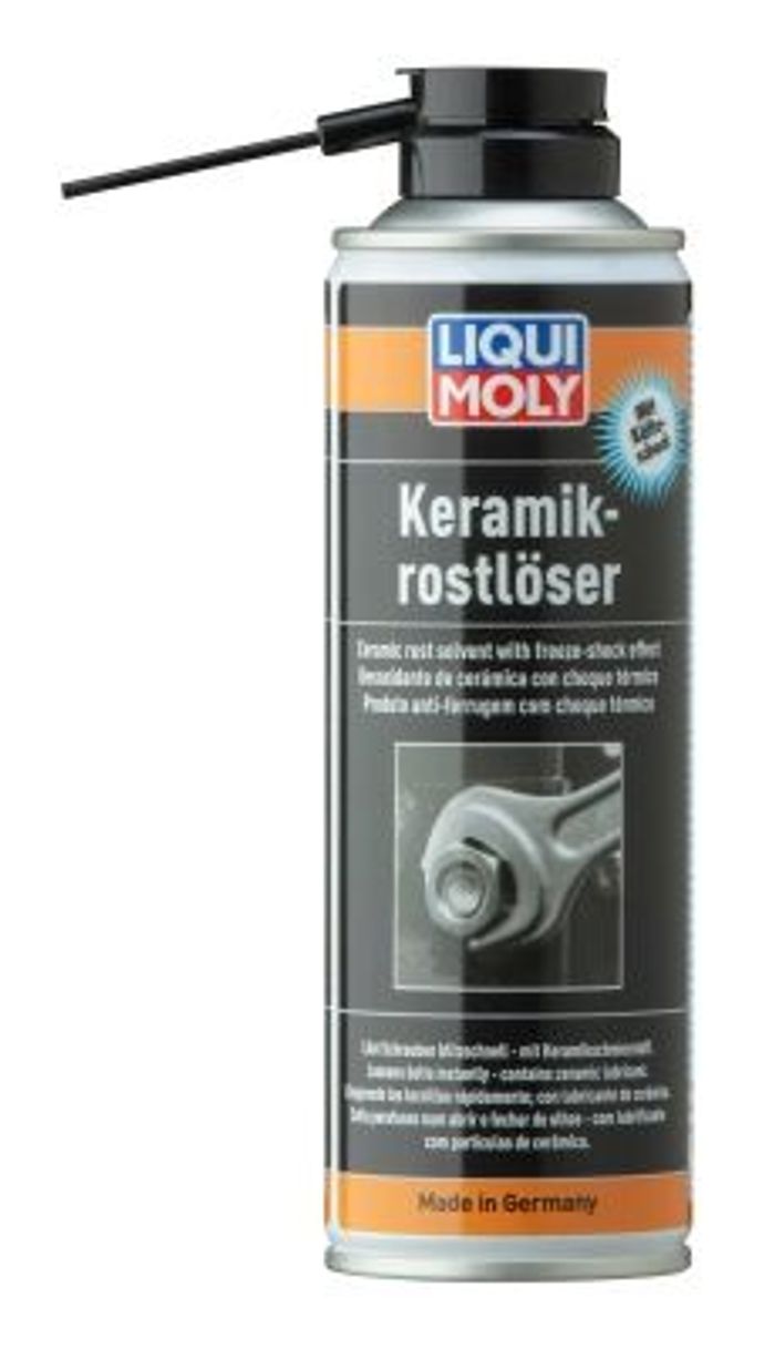Rostlöser
