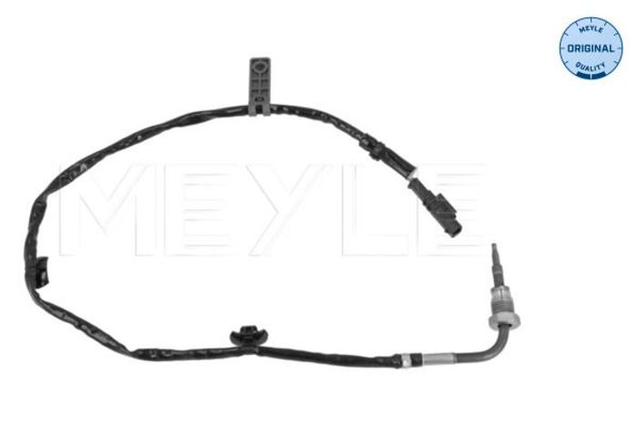 Sensor, Abgastemperatur