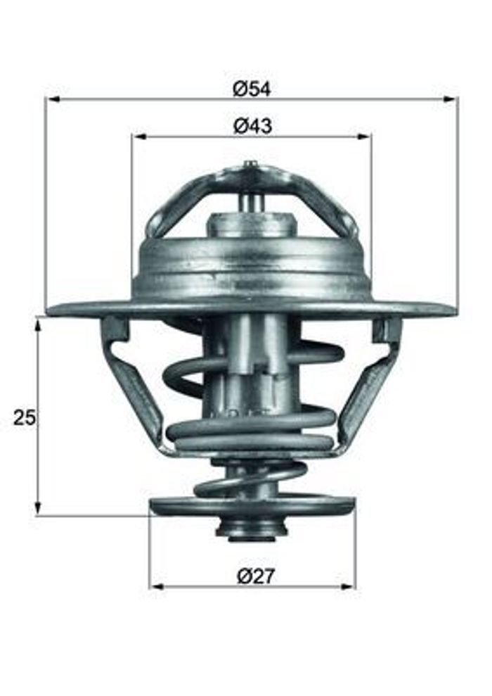 Thermostat, Kühlmittel