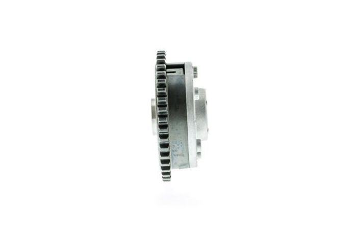 Stellelement, Exzenterwelle (variabler Ventilhub)