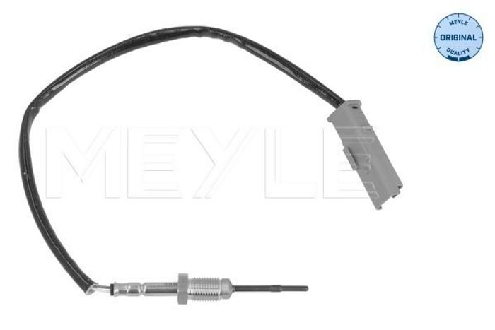 Sensor, Abgastemperatur