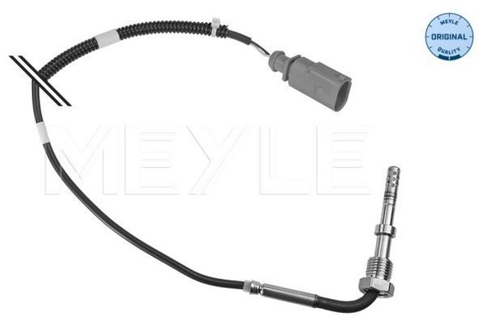 Sensor, Abgastemperatur