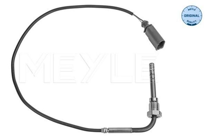 Sensor, Abgastemperatur