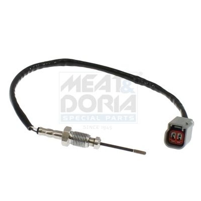 Sensor, Abgastemperatur
