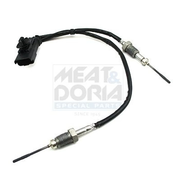 Sensor, Abgastemperatur