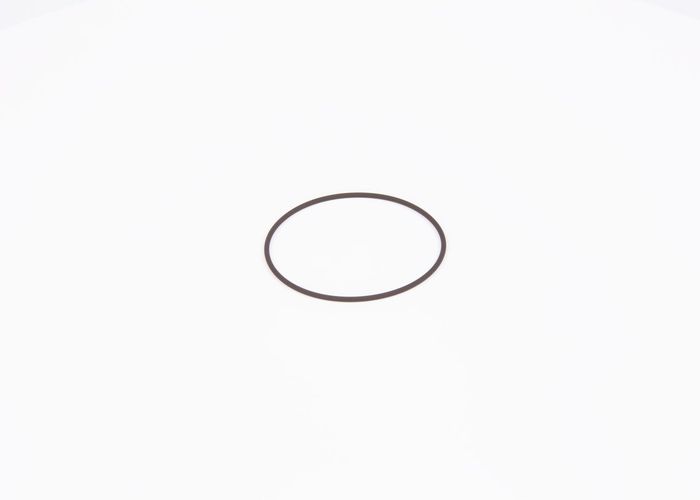 Dichtring