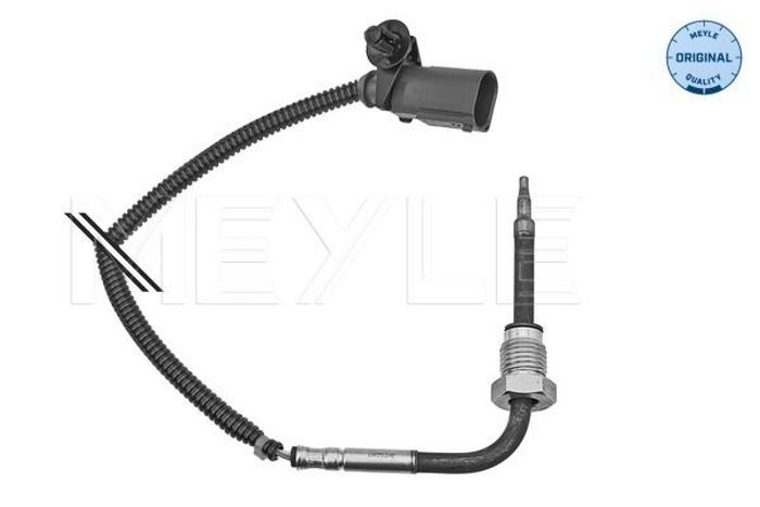 Sensor, Abgastemperatur