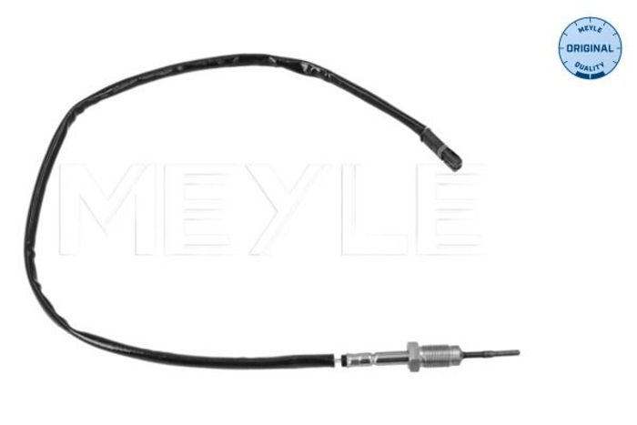 Sensor, Abgastemperatur