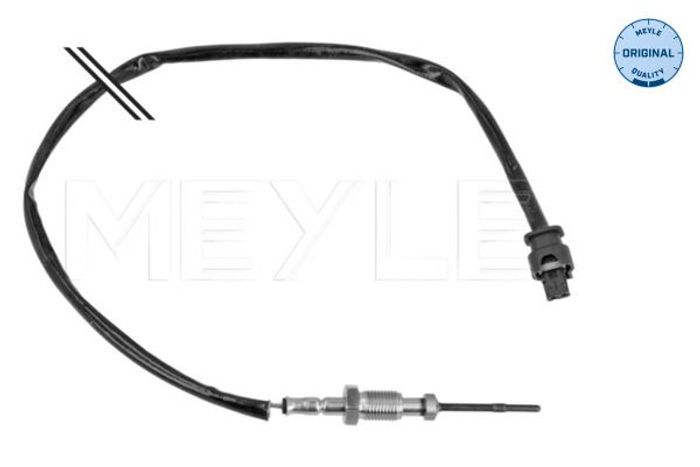 Sensor, Abgastemperatur