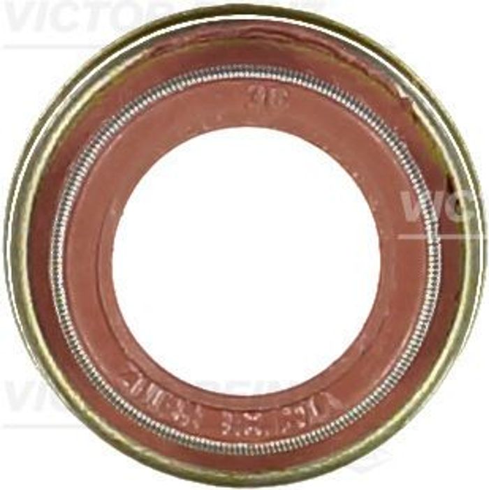 Dichtring, Ventilschaft