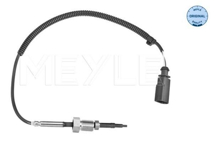 Sensor, Abgastemperatur