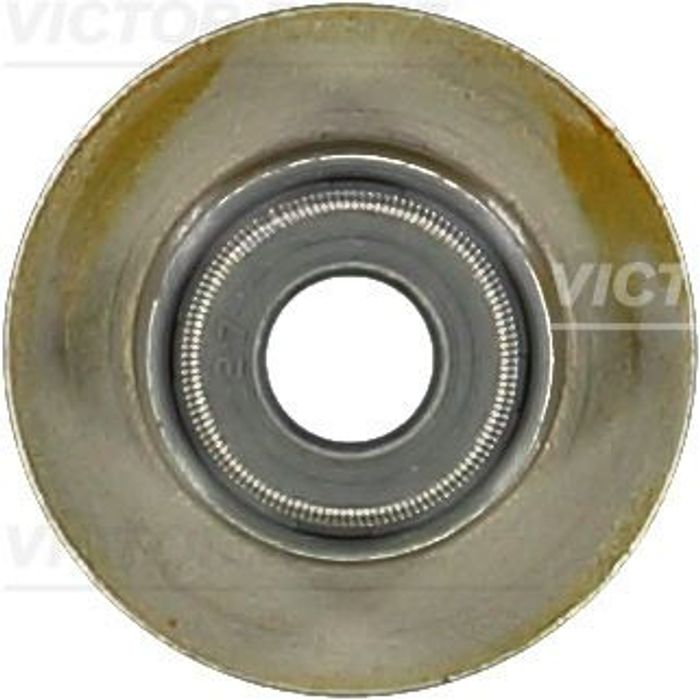 Dichtring, Ventilschaft