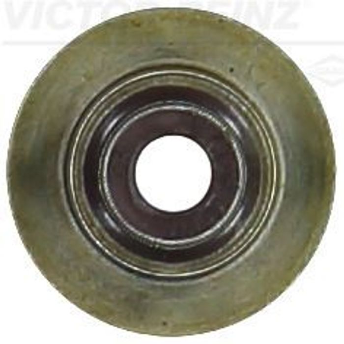 Dichtring, Ventilschaft