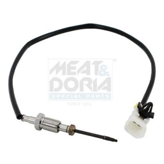 Sensor, Abgastemperatur