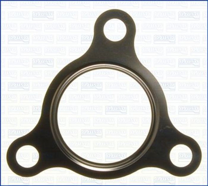 Dichtung, Turbineneinlass (Lader)
