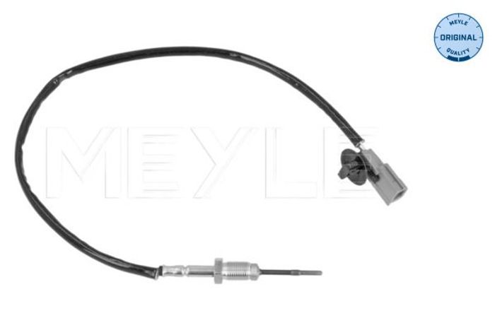 Sensor, Abgastemperatur