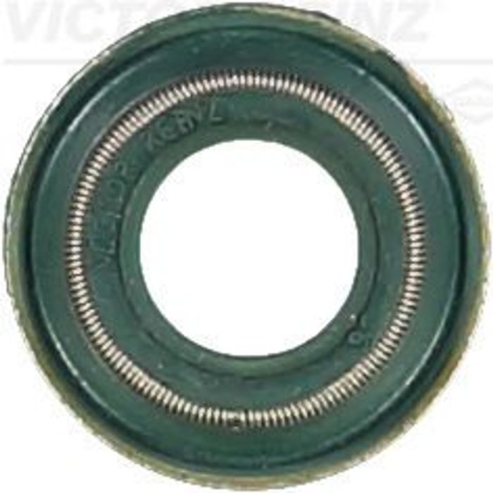 Dichtring, Ventilschaft