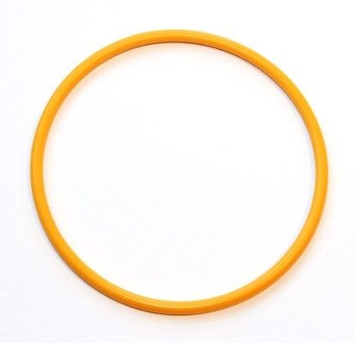 Dichtring