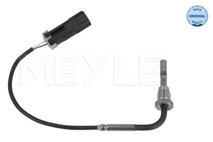 Sensor, Abgastemperatur