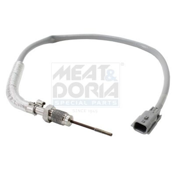 Sensor, Abgastemperatur