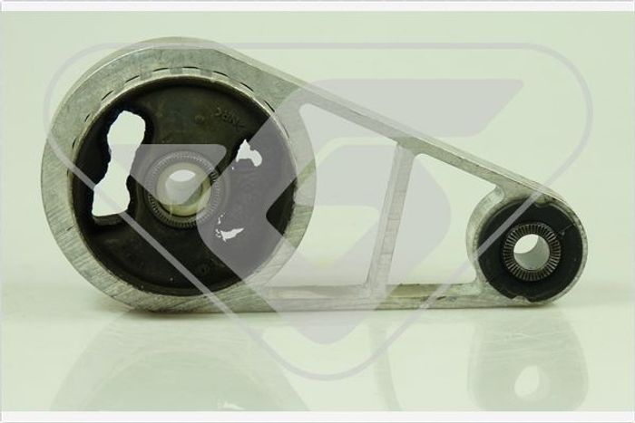 Halter, Motoraufhängung
